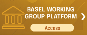 Basel Working Group Platform